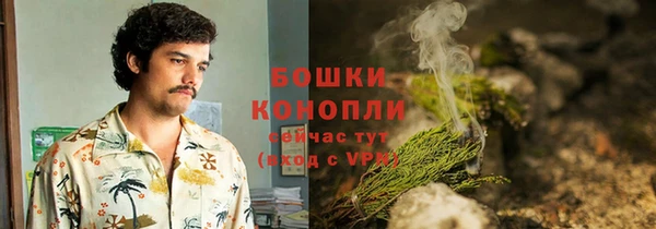 шишки Абинск