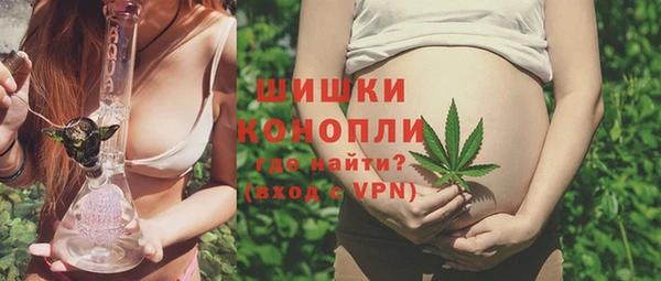 шишки Нязепетровск