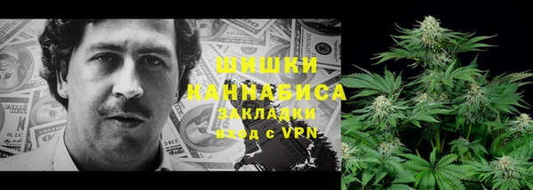 шишки Абинск