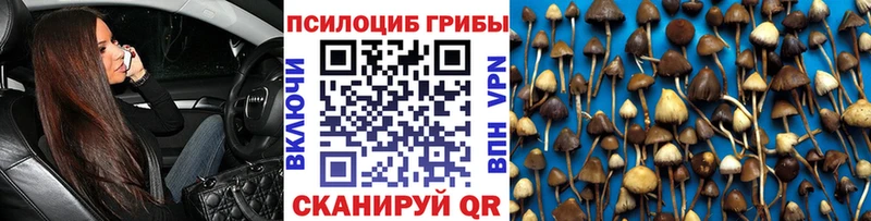 Галлюциногенные грибы Psilocybine cubensis  где купить   Эртиль 